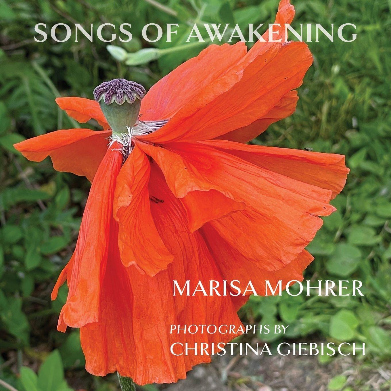Vorderes Coverbild Songs of Awakening
