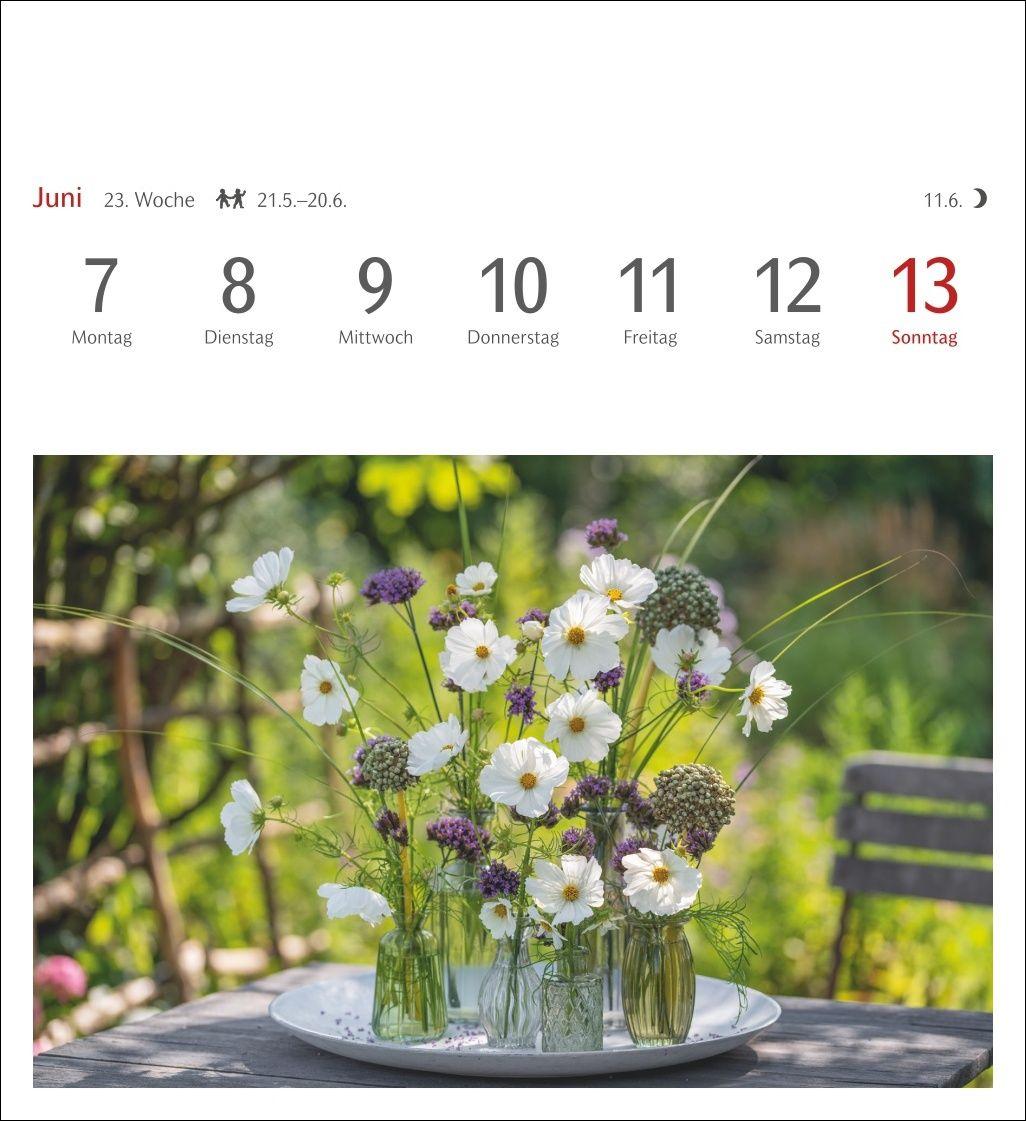 Beispielinhalt (Bild) Blumenpracht Postkartenkalender 2027 - Wochenkalender mit 53 Postkarten