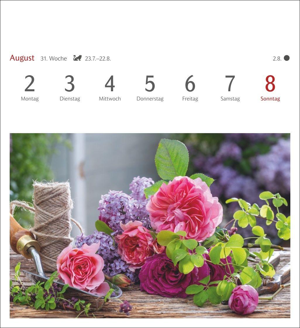 Beispielinhalt (Bild) Blumenpracht Postkartenkalender 2027 - Wochenkalender mit 53 Postkarten