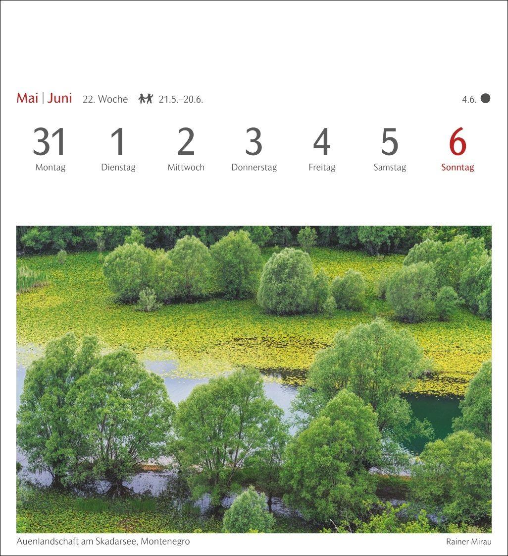 Beispielinhalt (Bild) Bäume Postkartenkalender 2027 - Wochenkalender mit 53 Postkarten