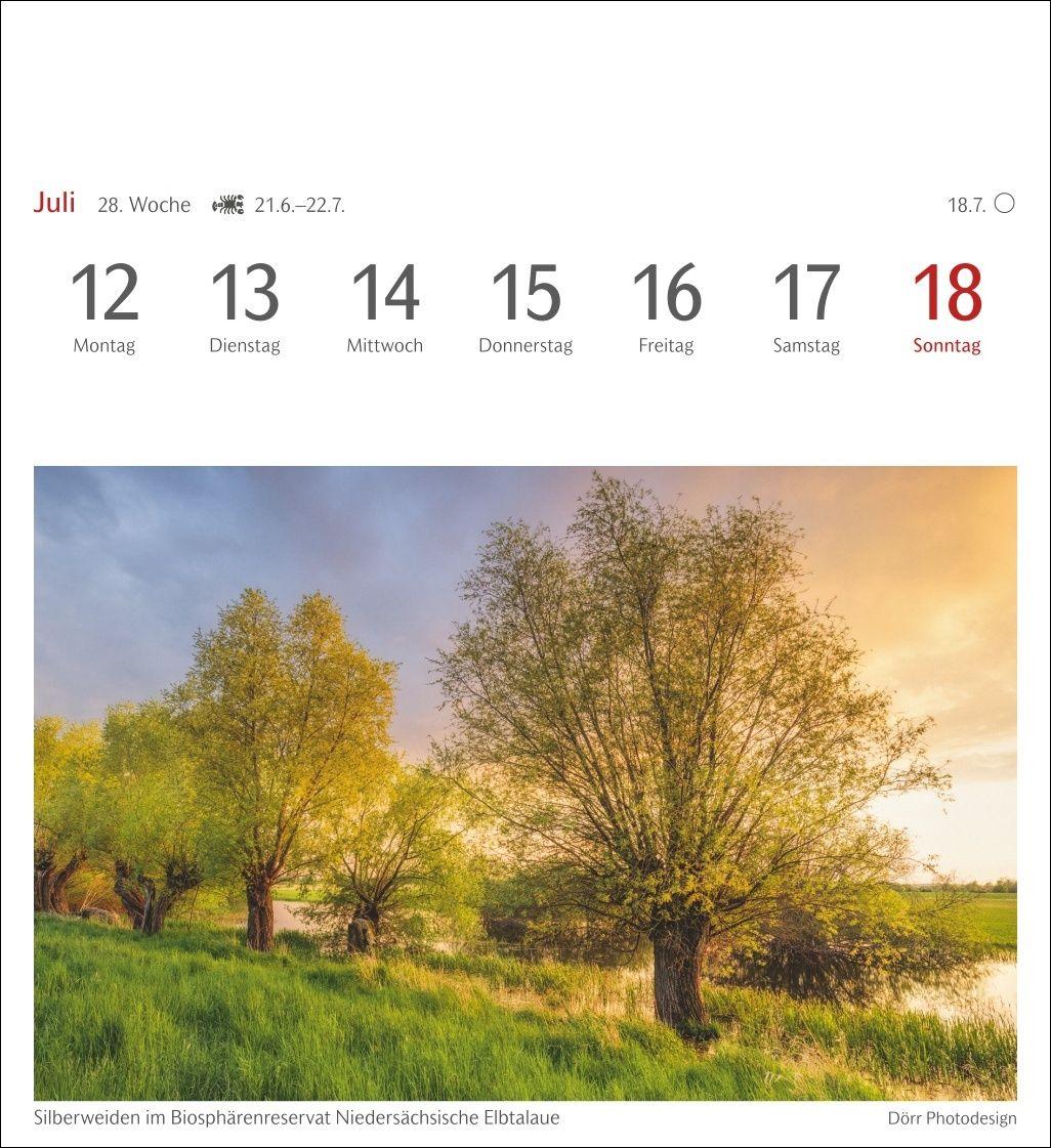 Beispielinhalt (Bild) Bäume Postkartenkalender 2027 - Wochenkalender mit 53 Postkarten