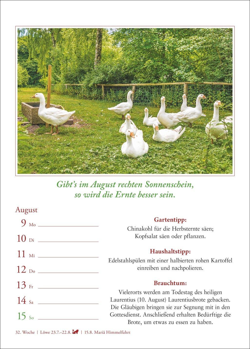 Beispielinhalt (Bild) Bauernweisheiten Wochenkalender 2027 - Bauernregeln, Brauchtum, Gartentipps, Haushaltstipps