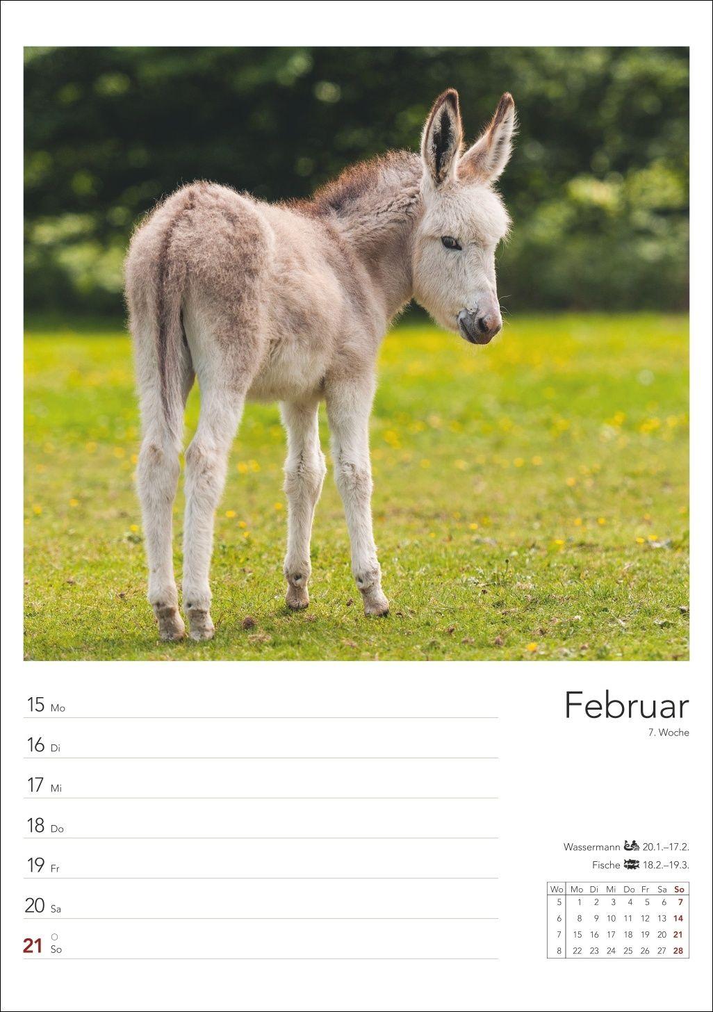 Beispielinhalt (Bild) Landleben Wochenplaner 2027