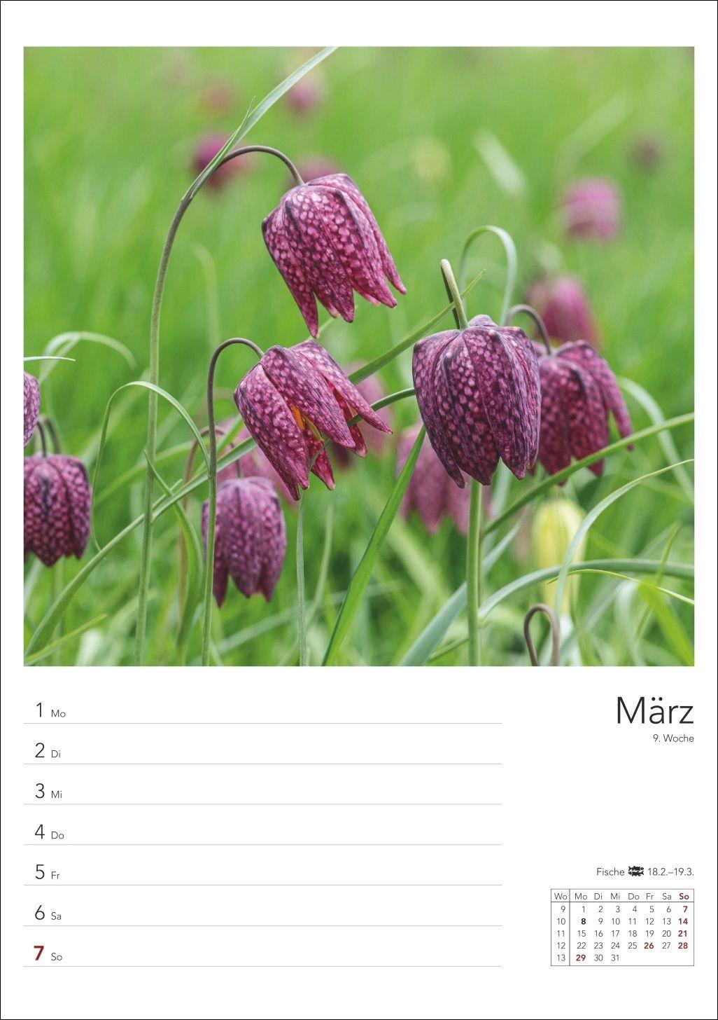 Beispielinhalt (Bild) Landleben Wochenplaner 2027