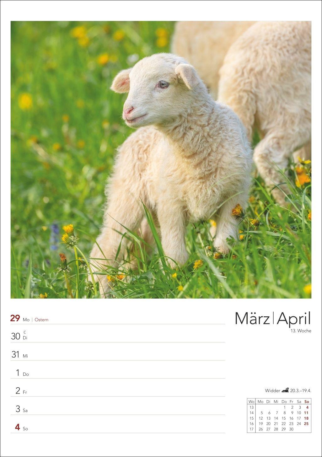 Beispielinhalt (Bild) Landleben Wochenplaner 2027