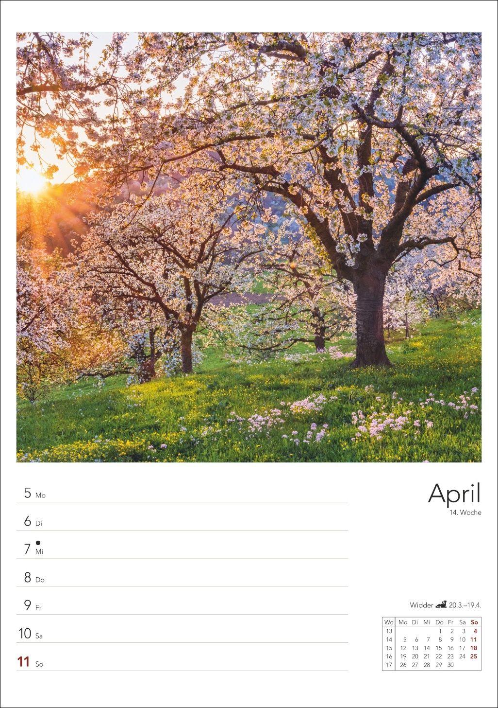 Beispielinhalt (Bild) Landleben Wochenplaner 2027