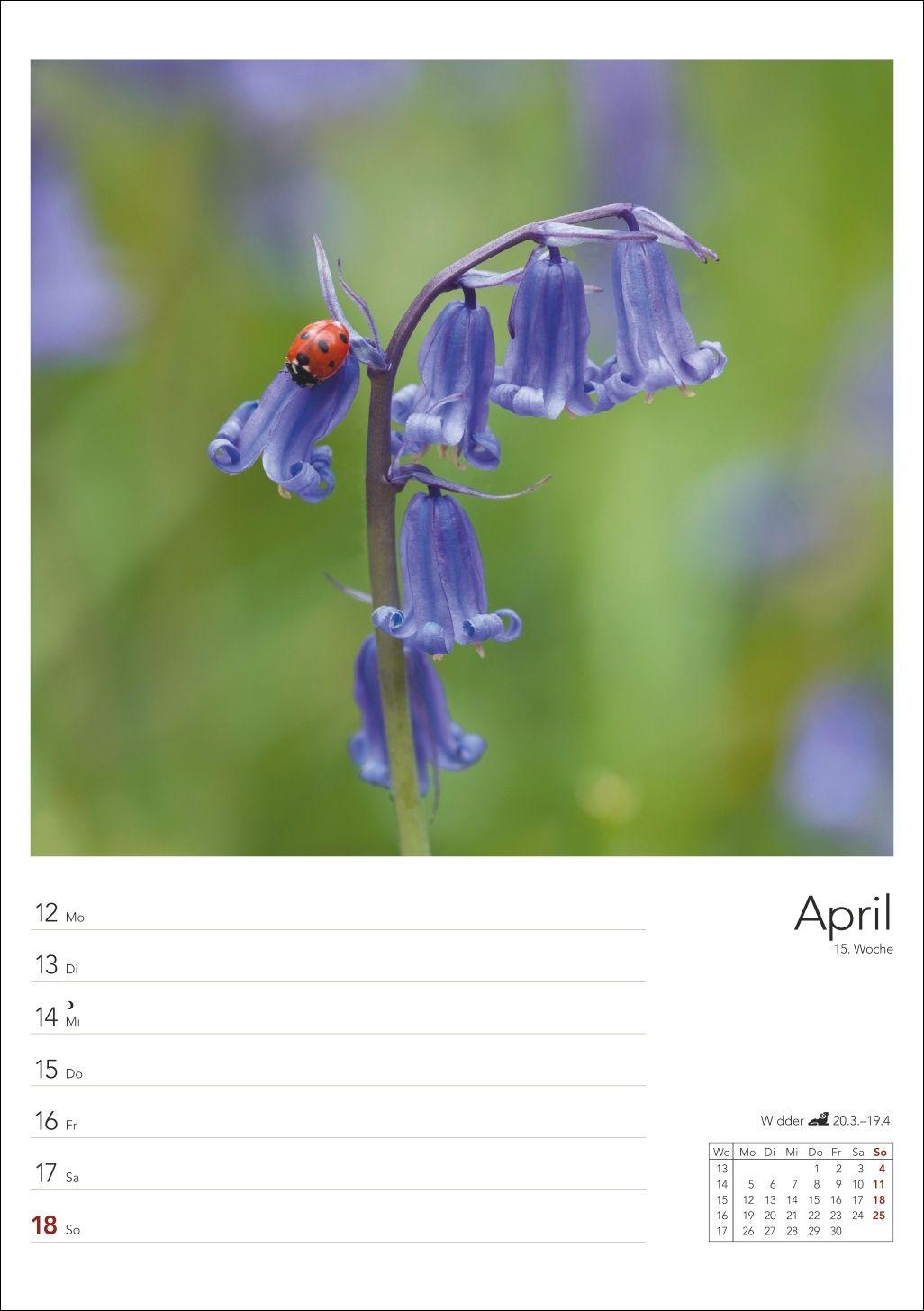 Beispielinhalt (Bild) Landleben Wochenplaner 2027