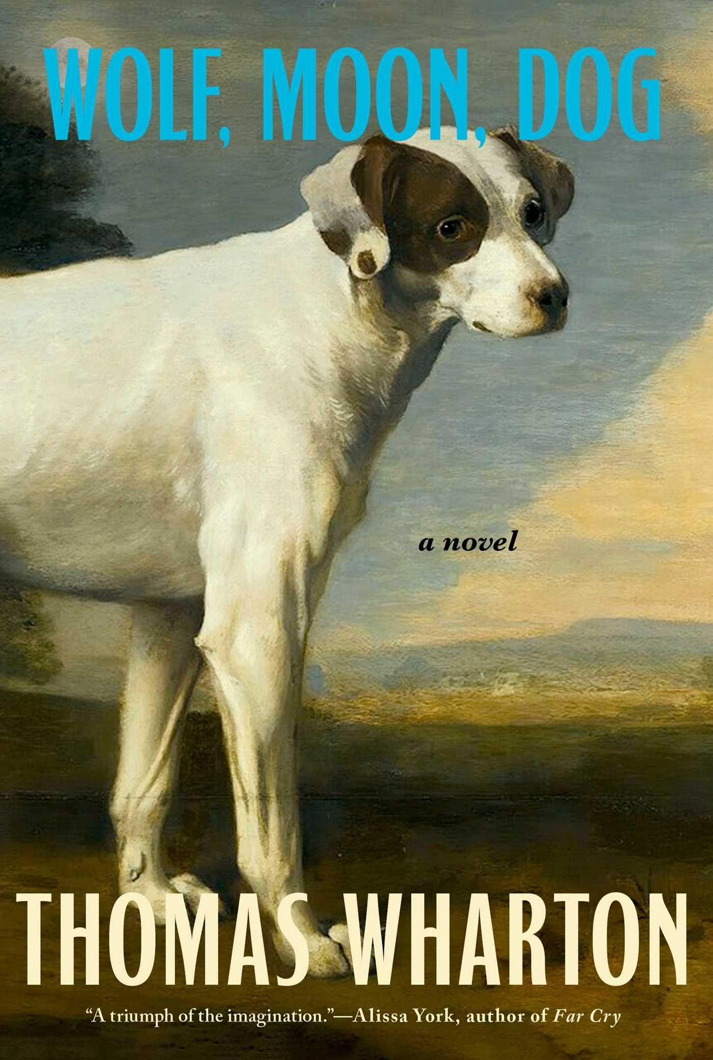 Vorderes Coverbild Wolf, Moon, Dog