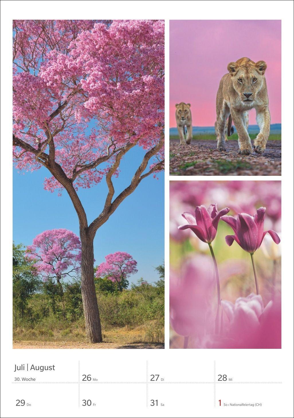 Beispielinhalt (Bild) Magie der Farben Wochenplaner 2027