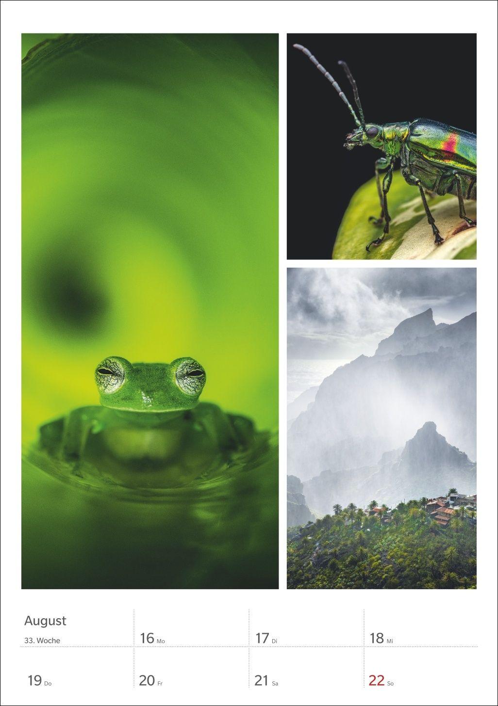 Beispielinhalt (Bild) Magie der Farben Wochenplaner 2027