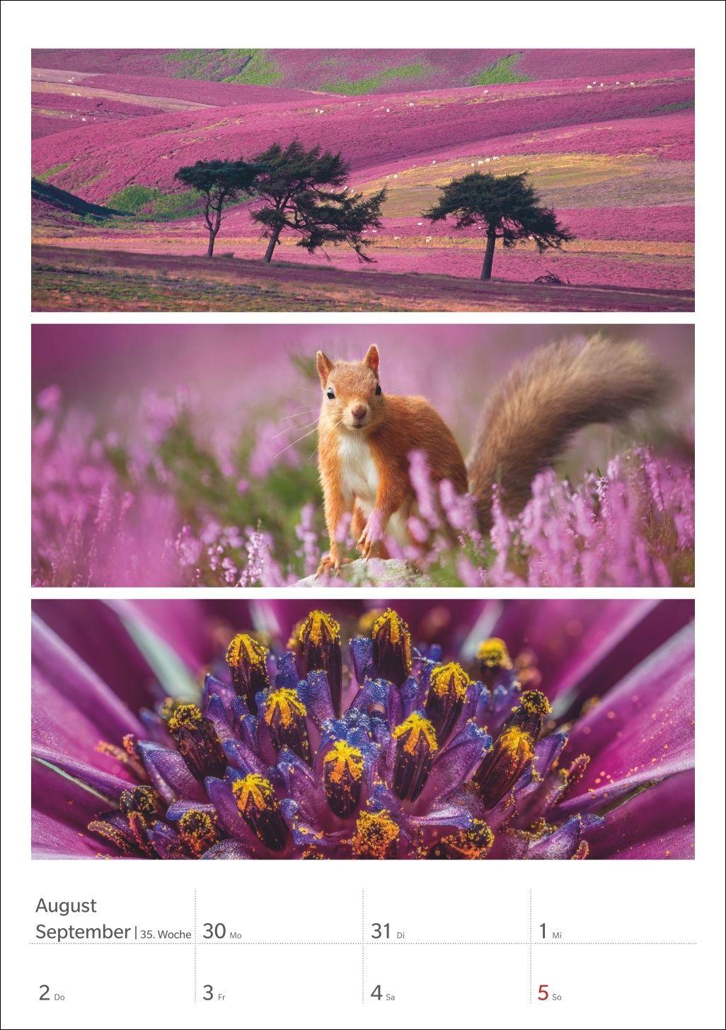 Beispielinhalt (Bild) Magie der Farben Wochenplaner 2027