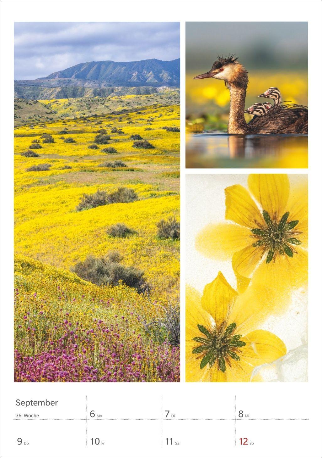 Beispielinhalt (Bild) Magie der Farben Wochenplaner 2027