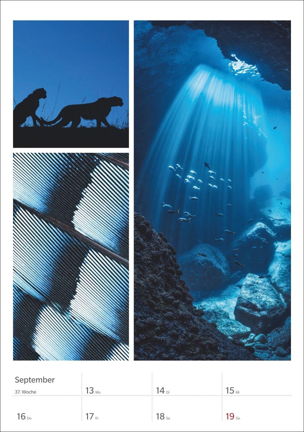 Beispielinhalt (Bild) Magie der Farben Wochenplaner 2027