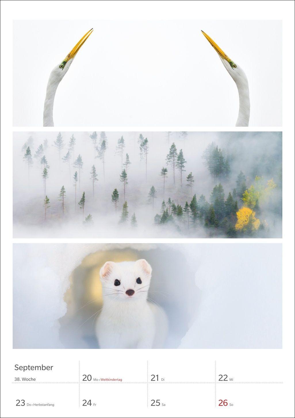 Beispielinhalt (Bild) Magie der Farben Wochenplaner 2027