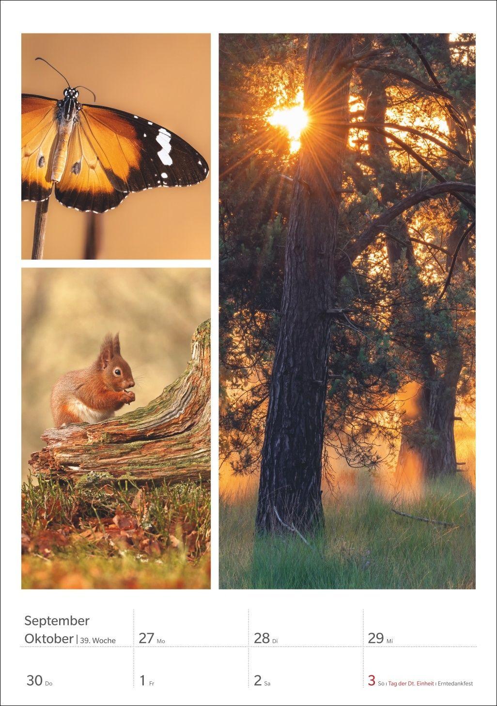 Beispielinhalt (Bild) Magie der Farben Wochenplaner 2027