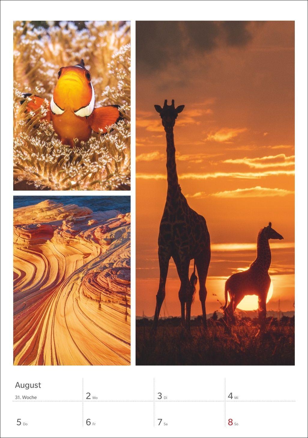 Beispielinhalt (Bild) Magie der Farben Wochenplaner 2027