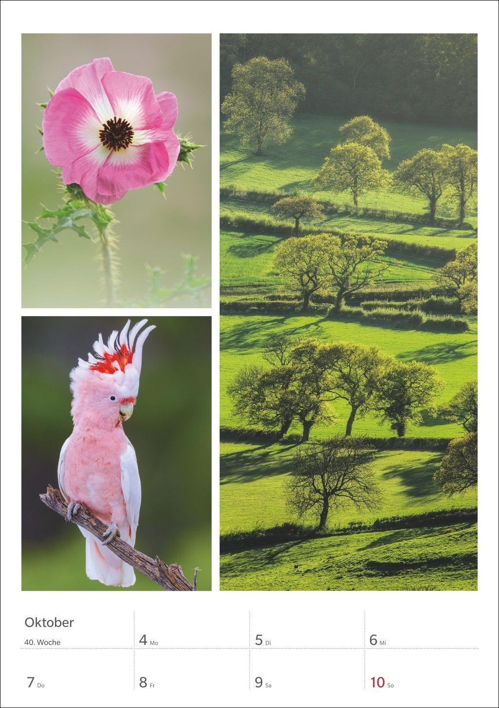 Beispielinhalt (Bild) Magie der Farben Wochenplaner 2027
