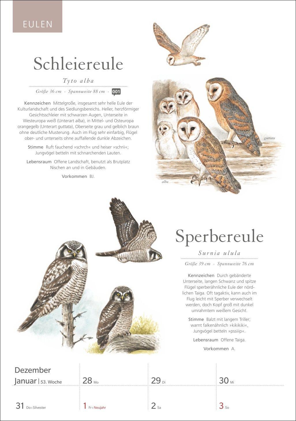 Beispielinhalt (Bild) KOSMOS Was fliegt denn da? Wochenplaner 2027 - Der Kalender zum KOSMOS-Naturführer