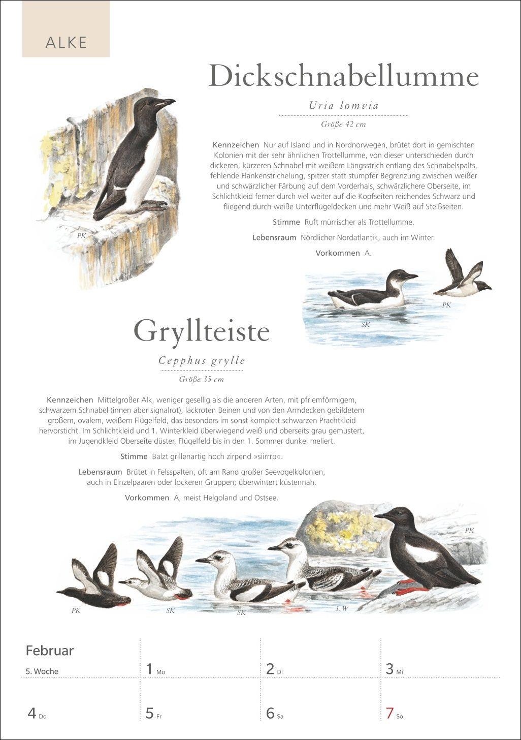 Beispielinhalt (Bild) KOSMOS Was fliegt denn da? Wochenplaner 2027 - Der Kalender zum KOSMOS-Naturführer