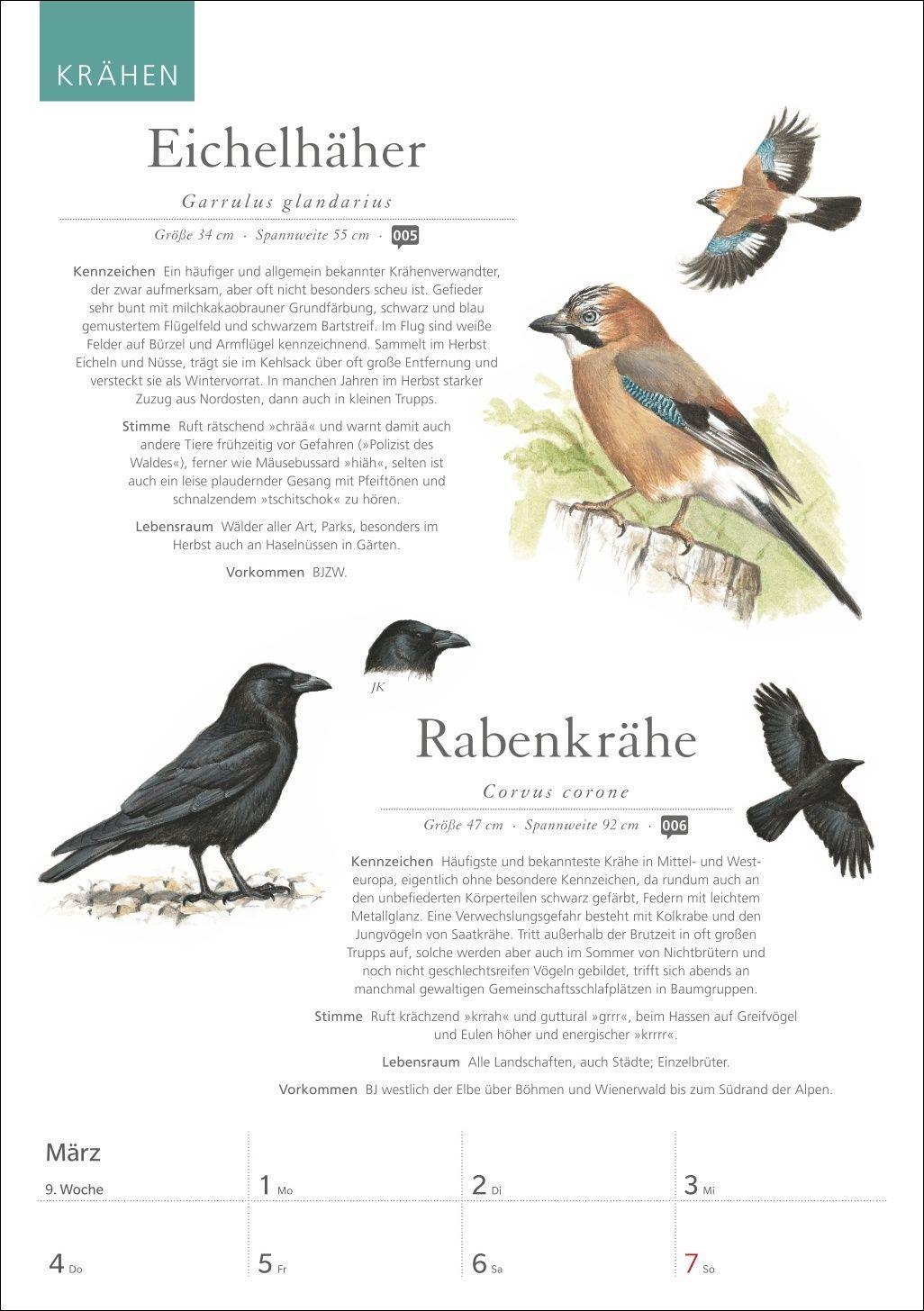 Beispielinhalt (Bild) KOSMOS Was fliegt denn da? Wochenplaner 2027 - Der Kalender zum KOSMOS-Naturführer