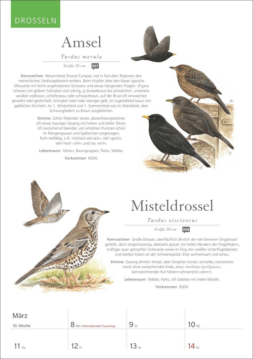 Beispielinhalt (Bild) KOSMOS Was fliegt denn da? Wochenplaner 2027 - Der Kalender zum KOSMOS-Naturführer