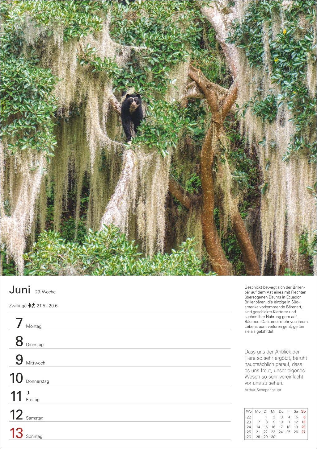 Beispielinhalt (Bild) Wunder der Natur Wochenplaner 2027 - 53 faszinierende Fotografien