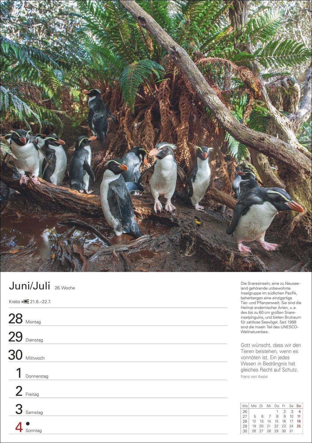 Beispielinhalt (Bild) Wunder der Natur Wochenplaner 2027 - 53 faszinierende Fotografien