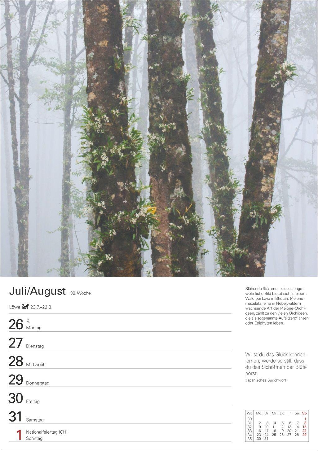 Beispielinhalt (Bild) Wunder der Natur Wochenplaner 2027 - 53 faszinierende Fotografien