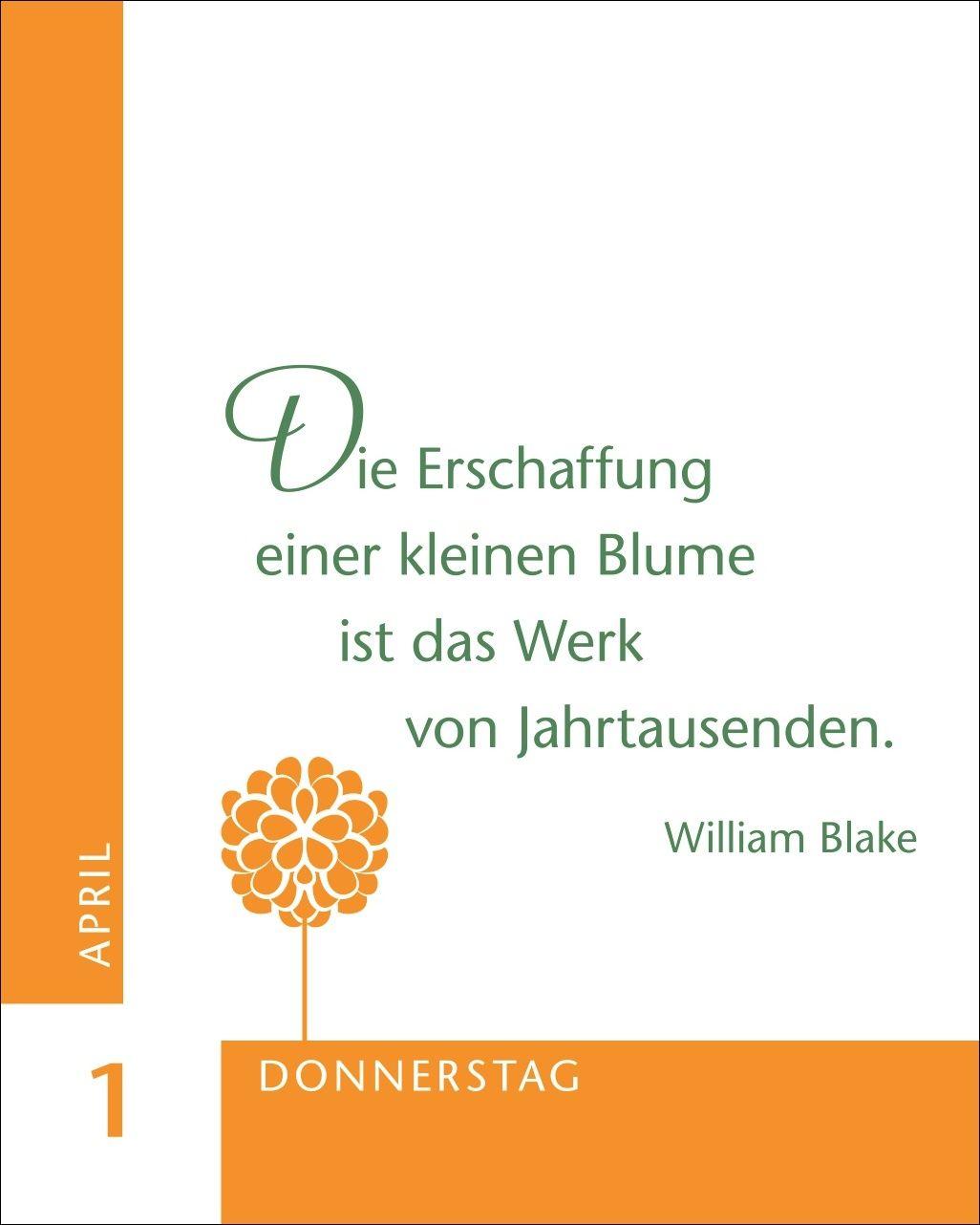 Beispielinhalt (Bild) 365 gute Gedanken Mini-Geschenkkalender 2027