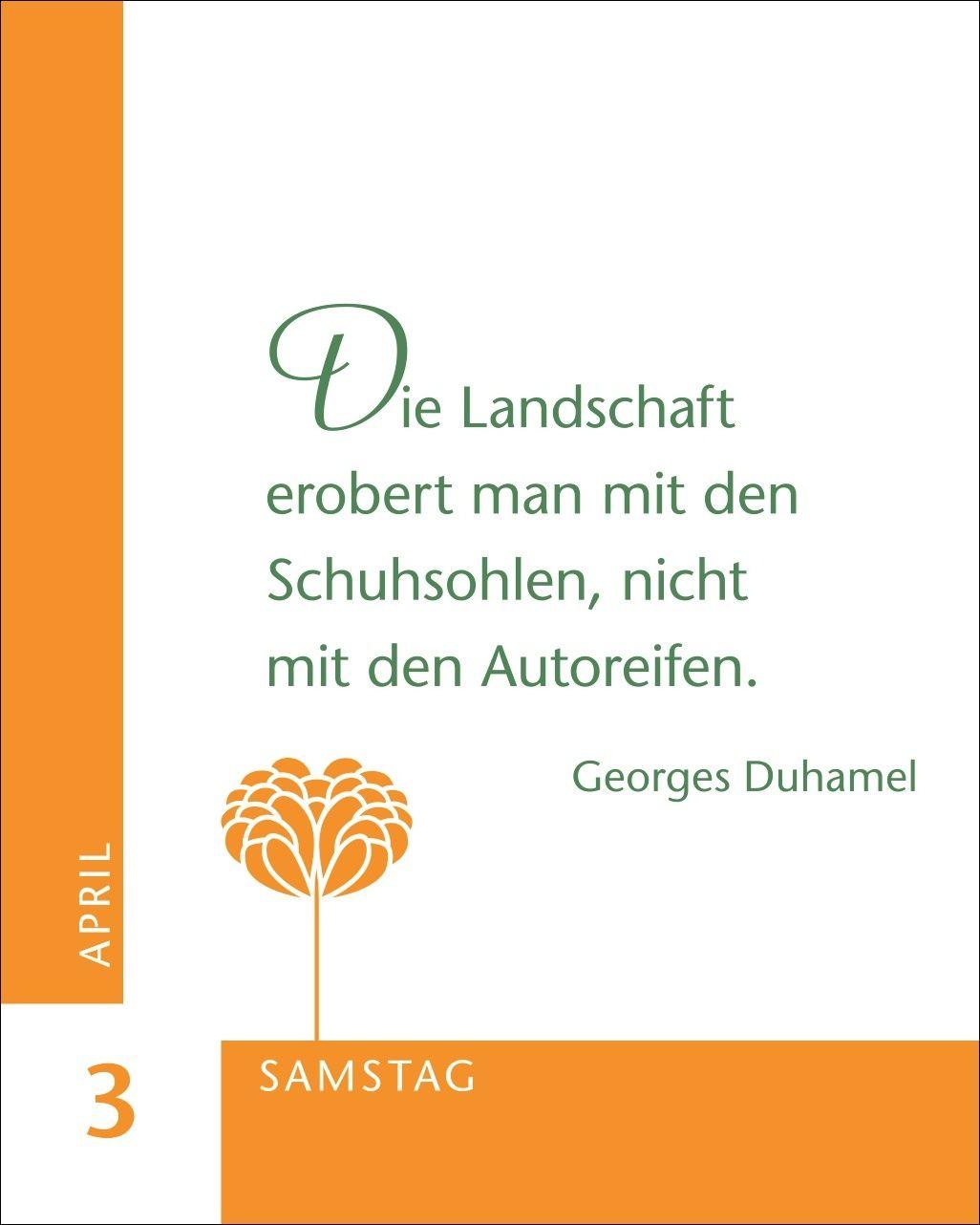 Beispielinhalt (Bild) 365 gute Gedanken Mini-Geschenkkalender 2027
