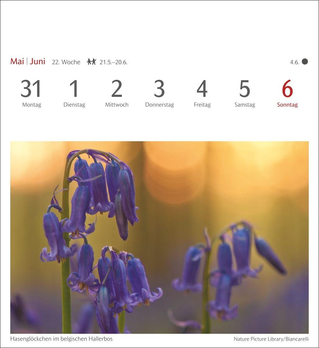 Beispielinhalt (Bild) Farben der Natur Postkartenkalender 2027 - Wochenkalender mit 53 Postkarten