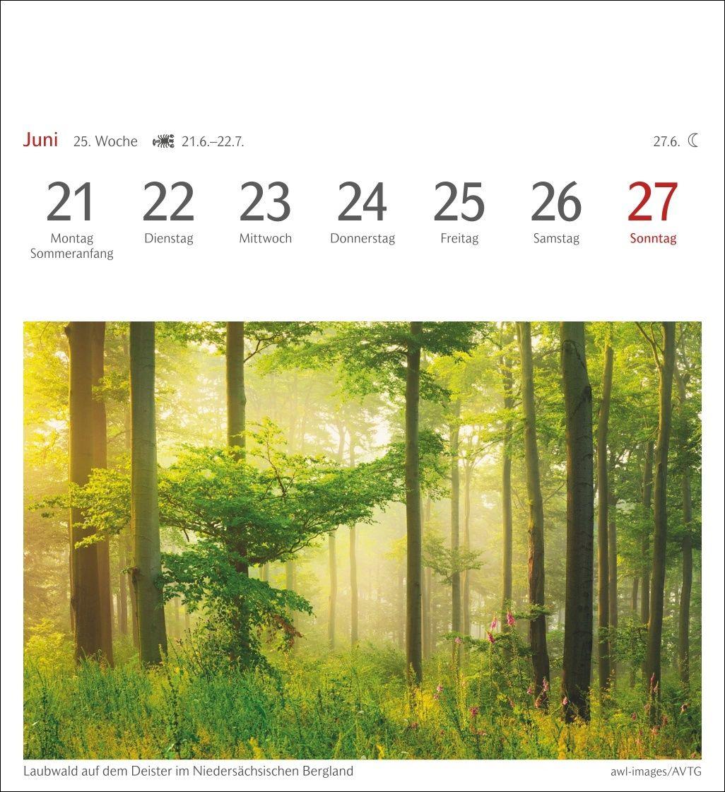 Beispielinhalt (Bild) Farben der Natur Postkartenkalender 2027 - Wochenkalender mit 53 Postkarten