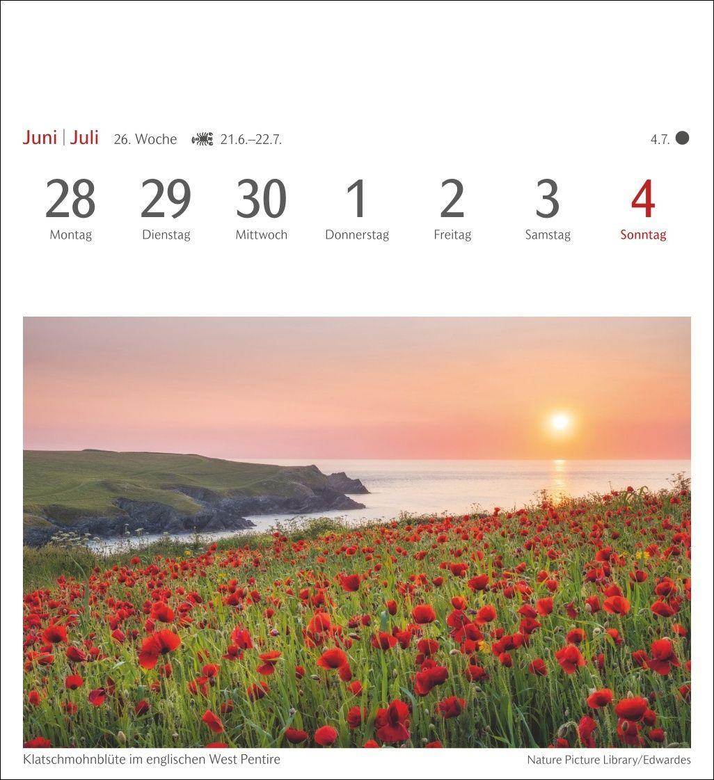 Beispielinhalt (Bild) Farben der Natur Postkartenkalender 2027 - Wochenkalender mit 53 Postkarten