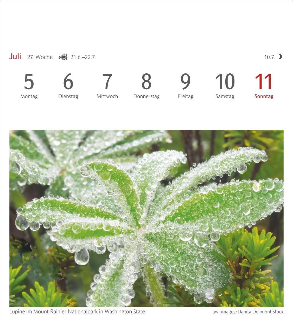Beispielinhalt (Bild) Farben der Natur Postkartenkalender 2027 - Wochenkalender mit 53 Postkarten