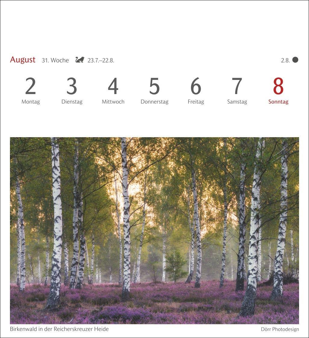 Beispielinhalt (Bild) Farben der Natur Postkartenkalender 2027 - Wochenkalender mit 53 Postkarten