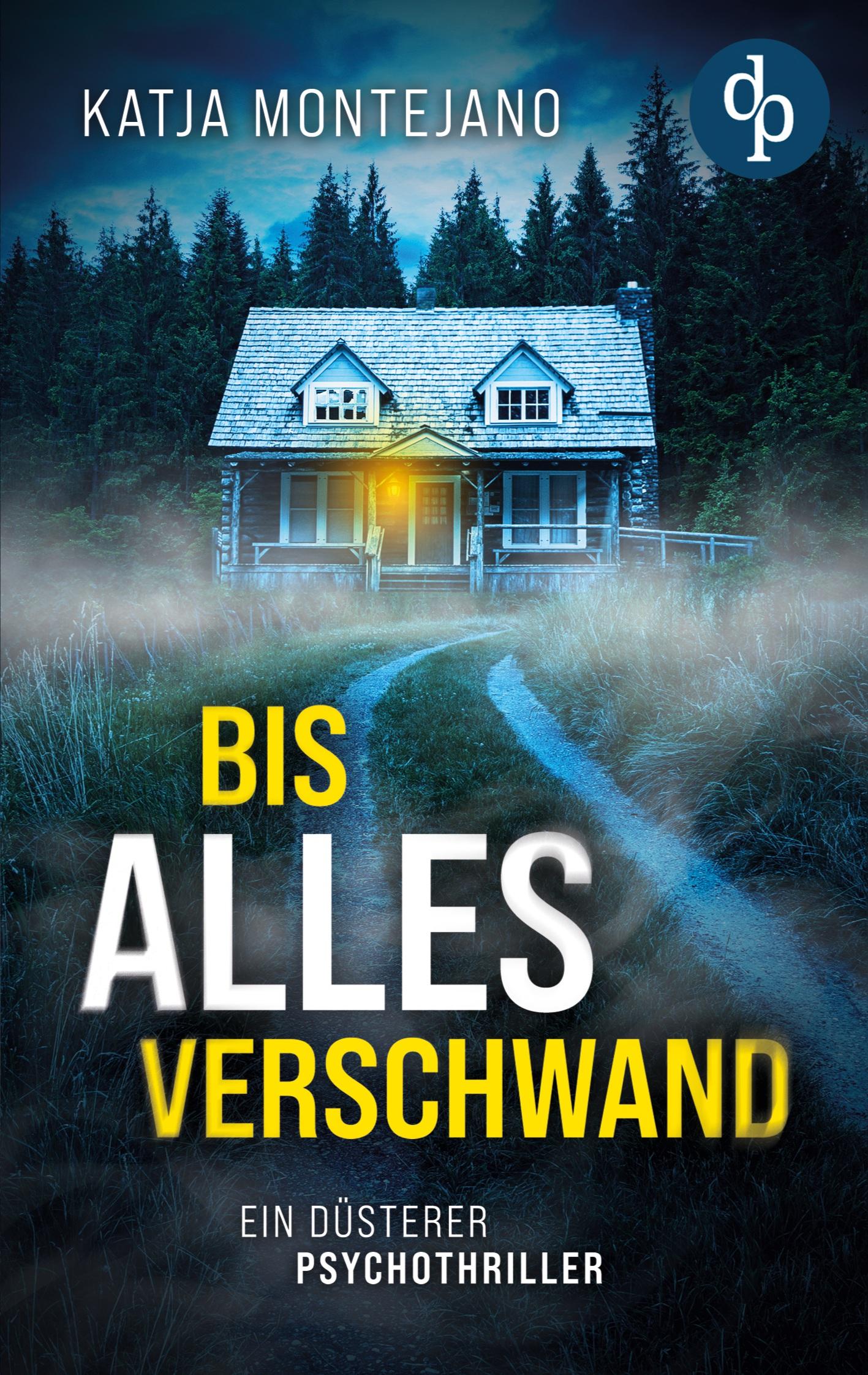 Vorderes Coverbild Bis alles verschwand | Ein düsterer Psychothriller