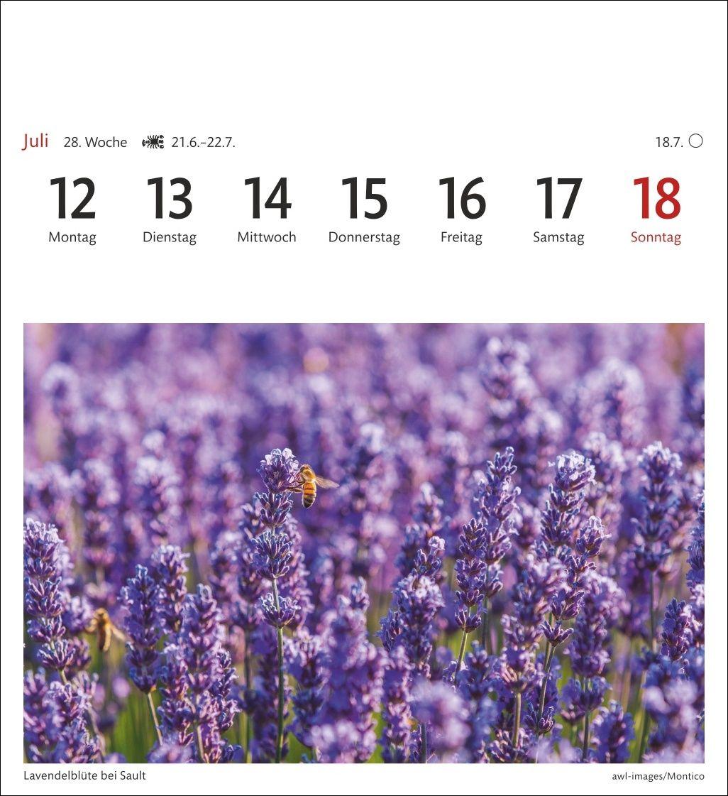 Beispielinhalt (Bild) Provence Sehnsuchtskalender 2027 - Wochenkalender mit 53 Postkarten