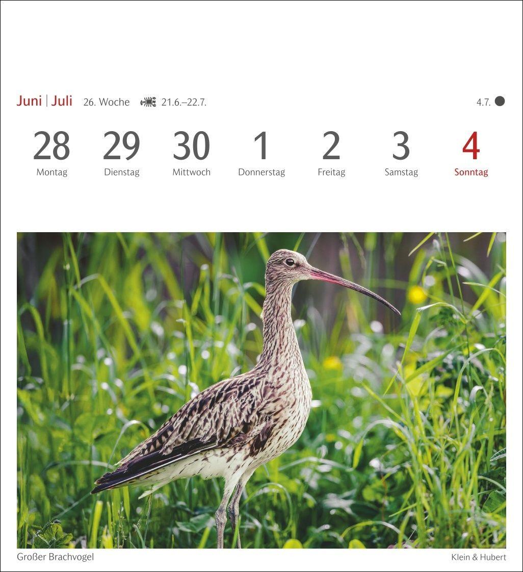 Beispielinhalt (Bild) Heimische Vögel Postkartenkalender 2027 - Wochenkalender mit 53 Postkarten