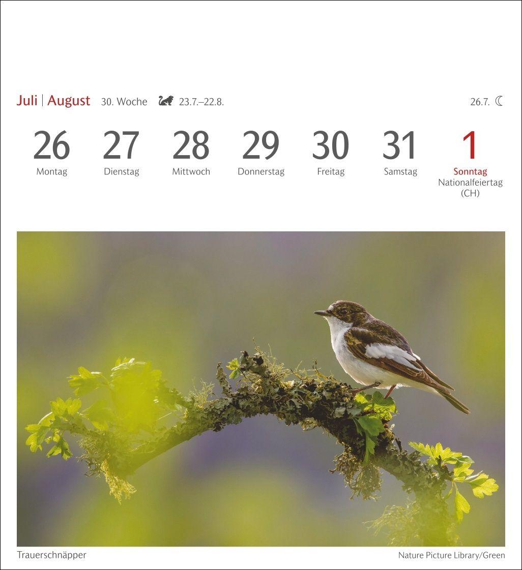 Beispielinhalt (Bild) Heimische Vögel Postkartenkalender 2027 - Wochenkalender mit 53 Postkarten