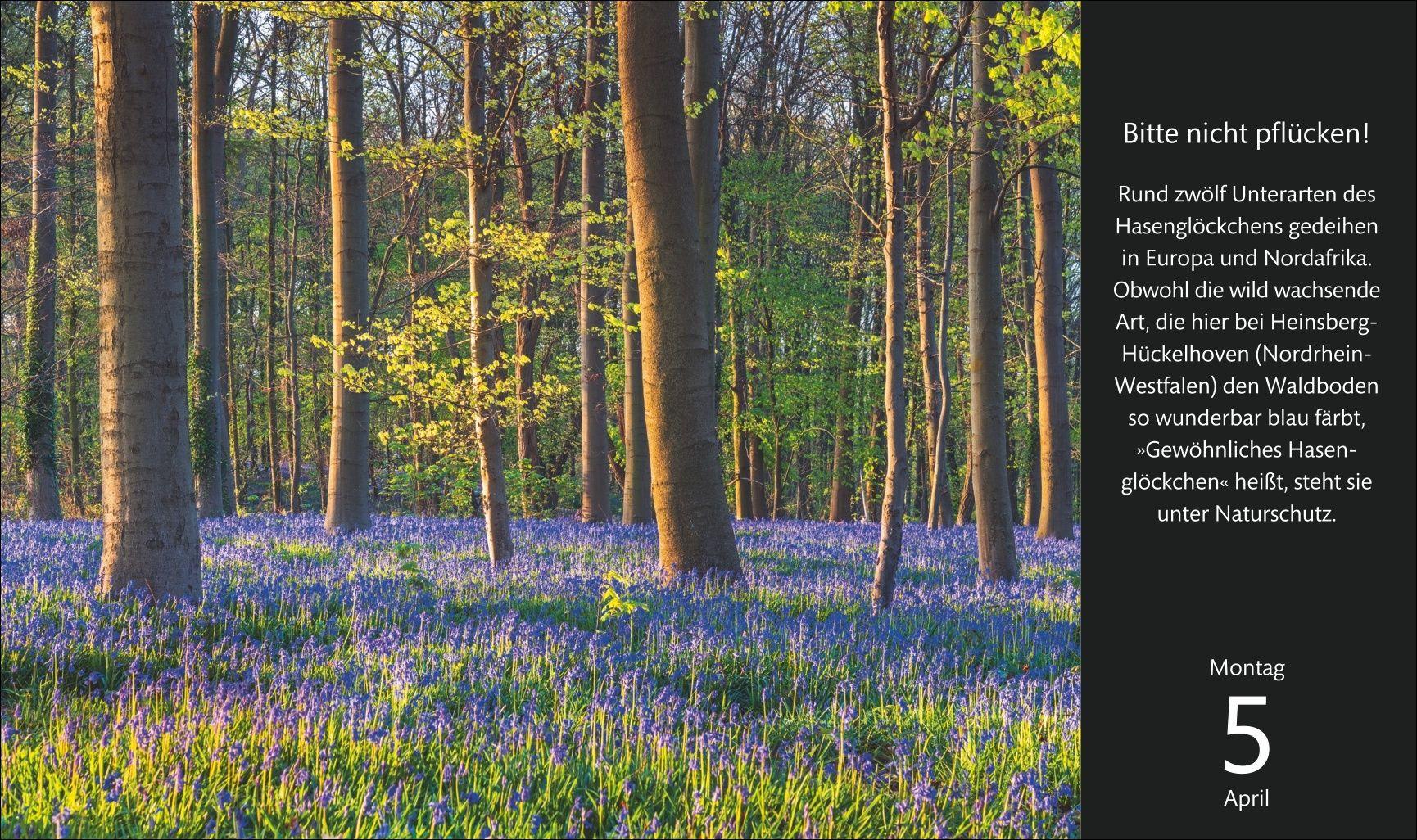 Beispielinhalt (Bild) Eine Reise durch Deutschland Premiumkalender 2027 - 365 faszinierende Fotografien