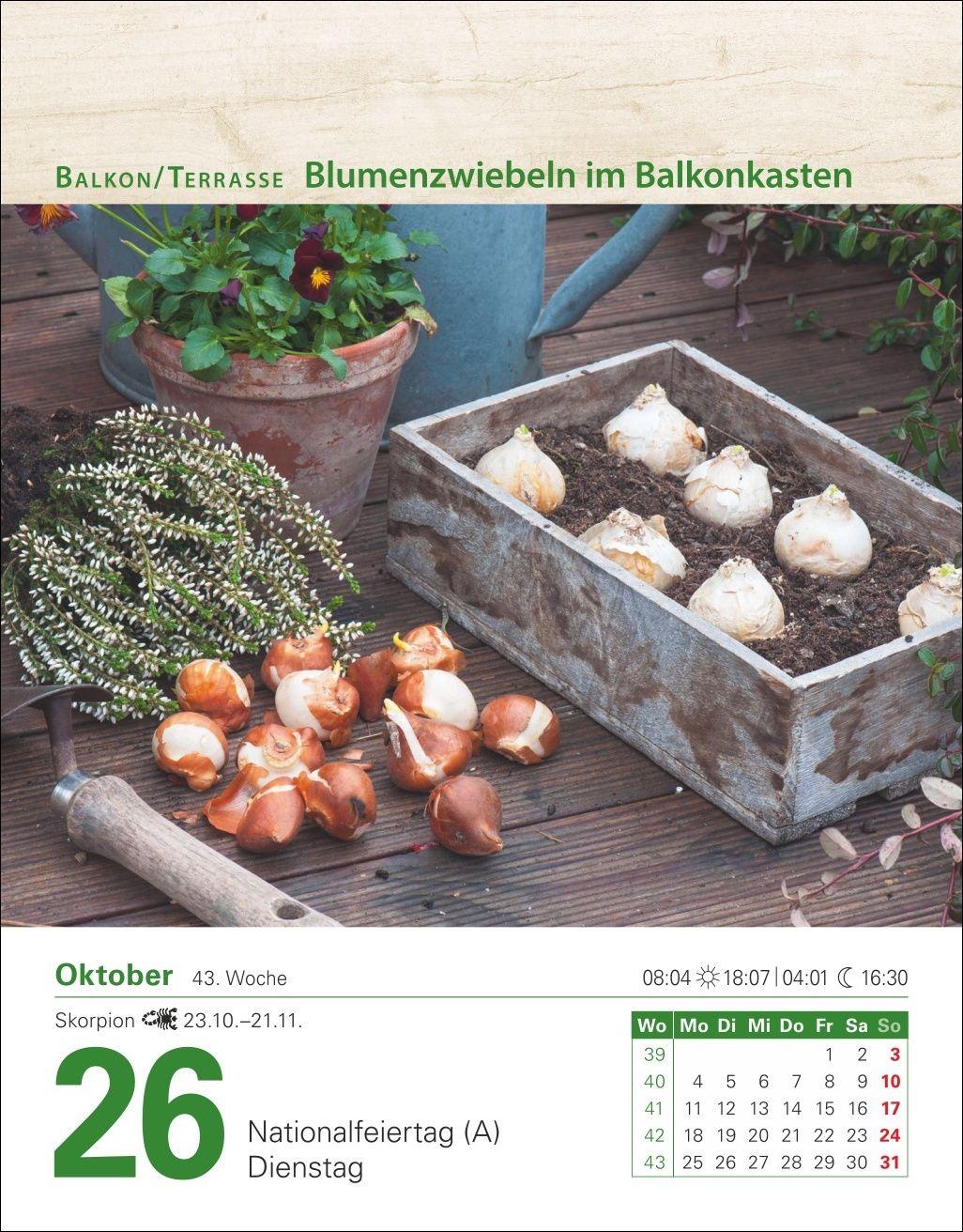 Beispielinhalt (Bild) Mein Garten Tagesabreißkalender 2027 - Praktische Tipps für 2027