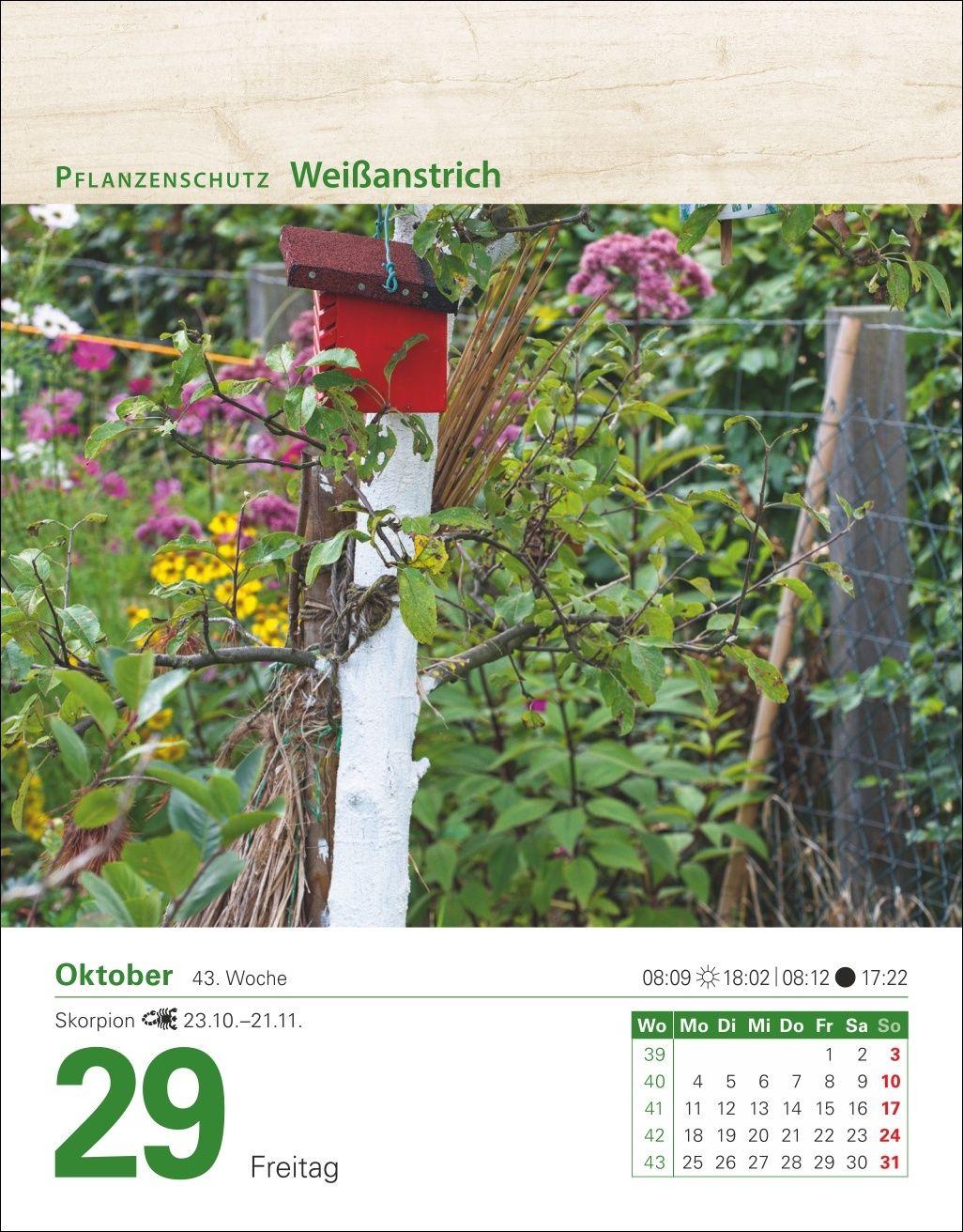 Beispielinhalt (Bild) Mein Garten Tagesabreißkalender 2027 - Praktische Tipps für 2027
