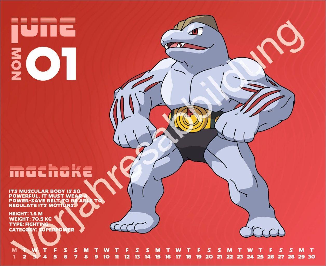 Beispielinhalt (Bild) Pokémon Tagesabreißkalender 2027