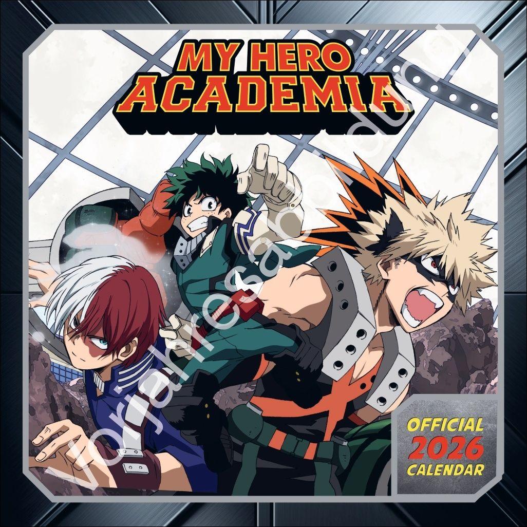Vorderes Coverbild My Hero Academia Broschurkalender 2027