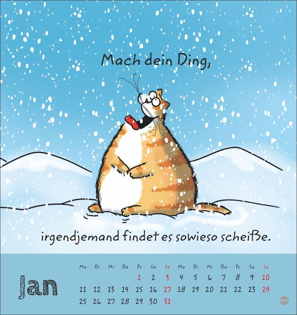 Beispielinhalt (Bild) Catzz Postkartenkalender 2027