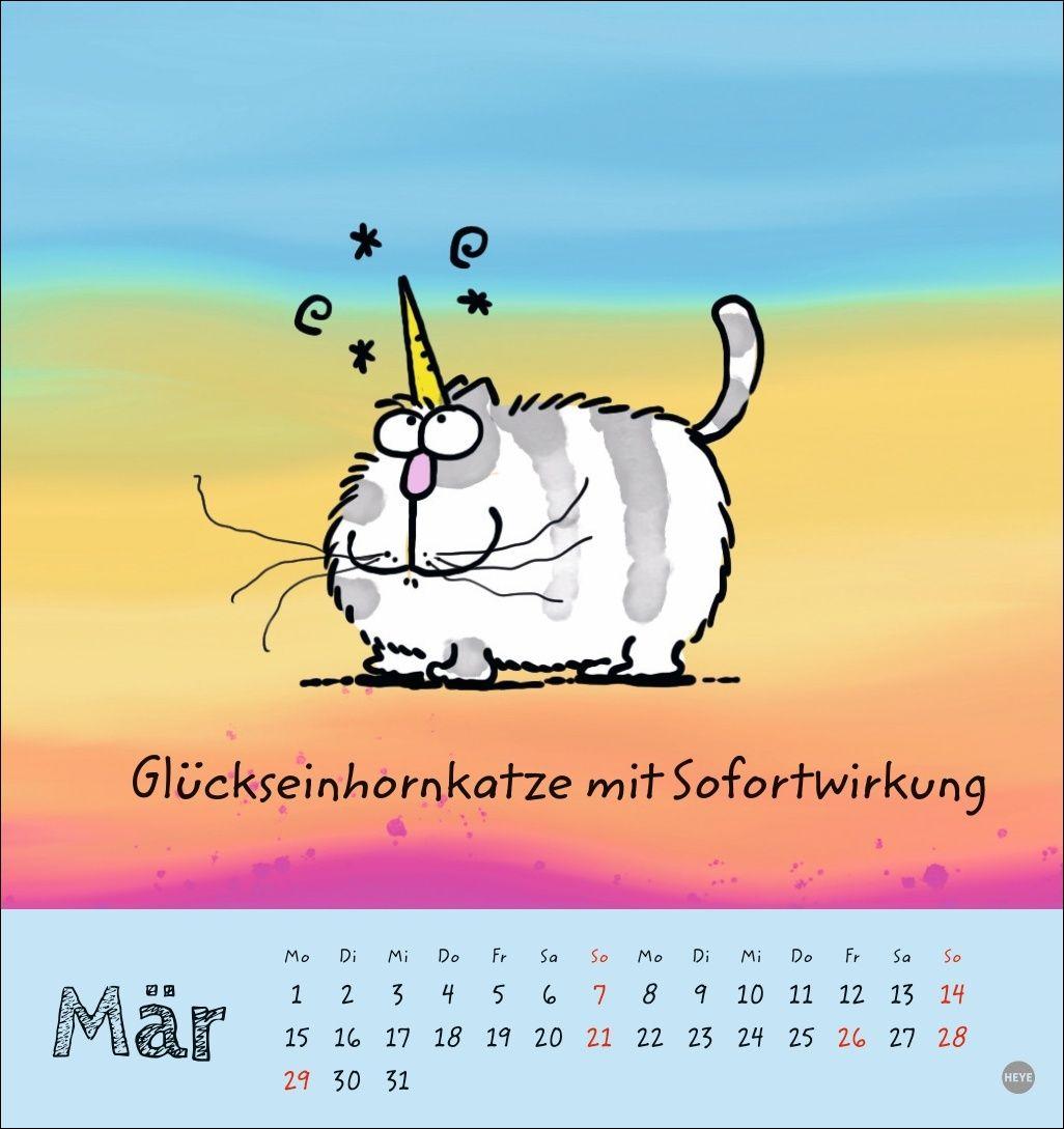 Beispielinhalt (Bild) Catzz Postkartenkalender 2027