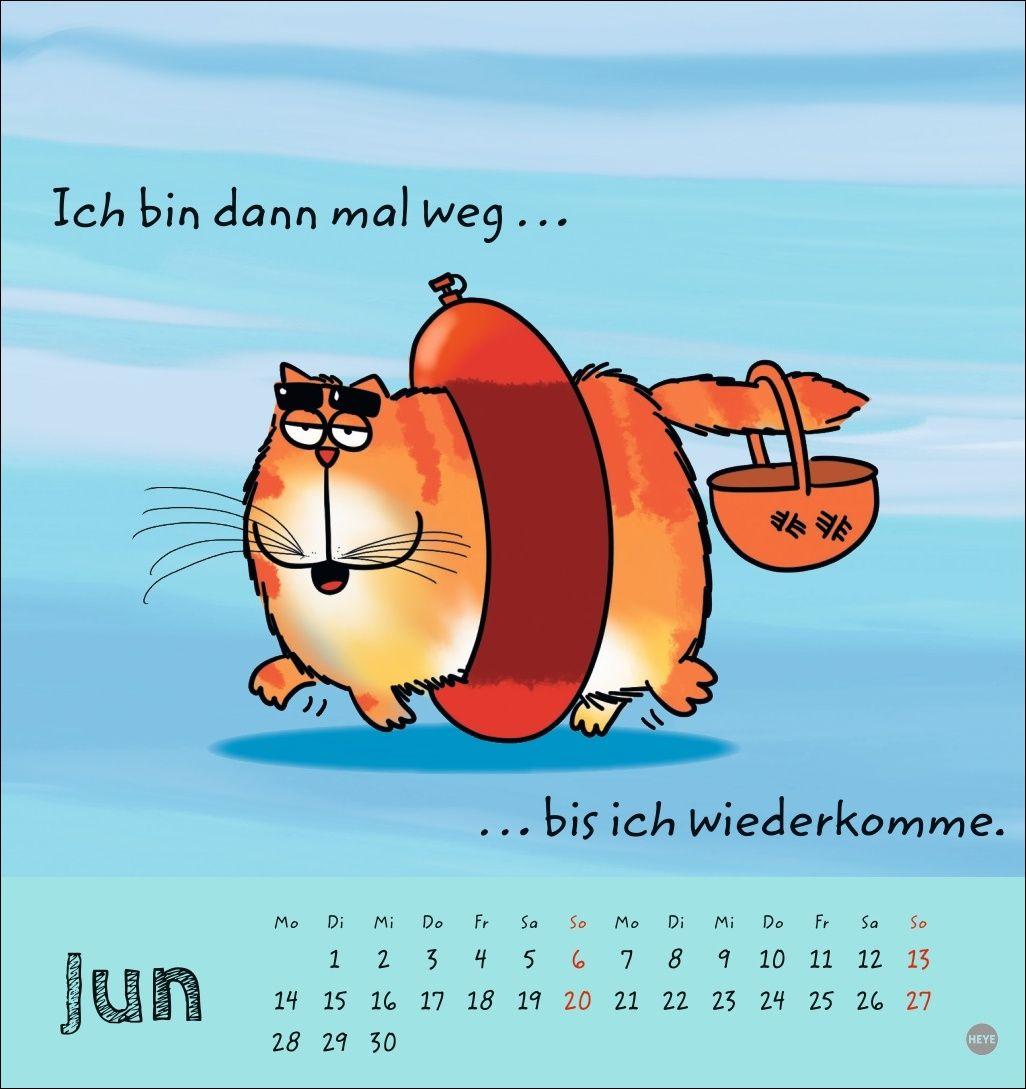 Beispielinhalt (Bild) Catzz Postkartenkalender 2027