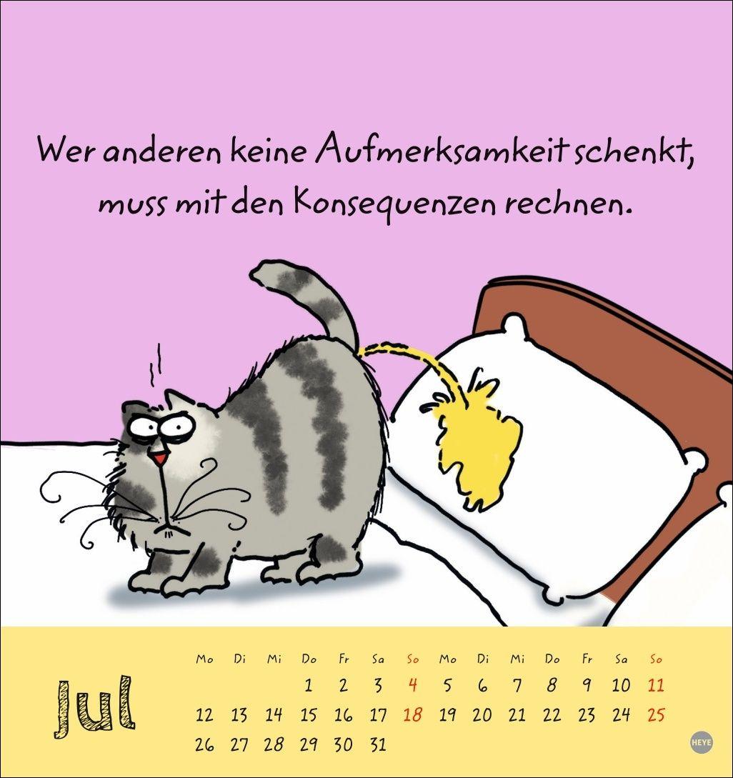Beispielinhalt (Bild) Catzz Postkartenkalender 2027