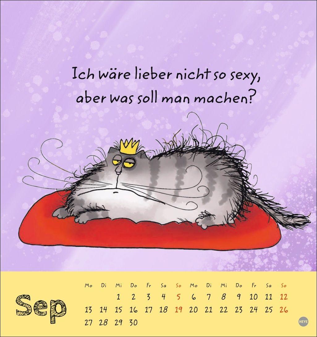 Beispielinhalt (Bild) Catzz Postkartenkalender 2027