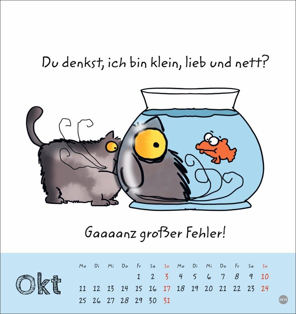 Beispielinhalt (Bild) Catzz Postkartenkalender 2027